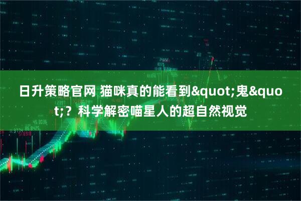 日升策略官网 猫咪真的能看到"鬼"？科学解密喵星人的超自然视觉