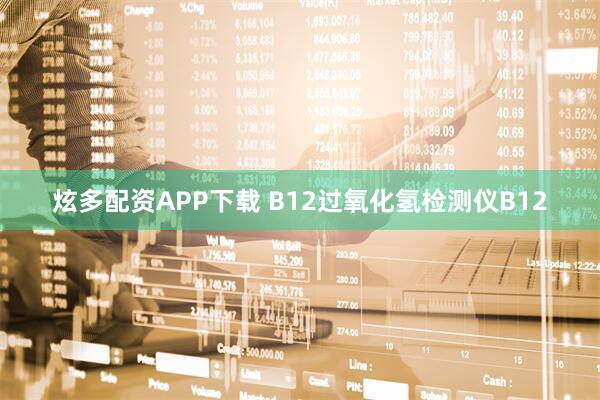 炫多配资APP下载 B12过氧化氢检测仪B12
