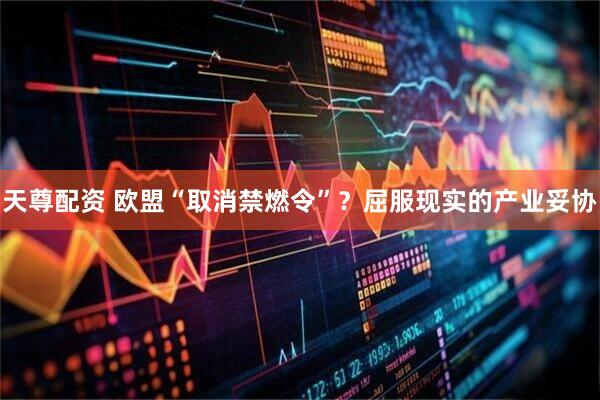 天尊配资 欧盟“取消禁燃令”？屈服现实的产业妥协